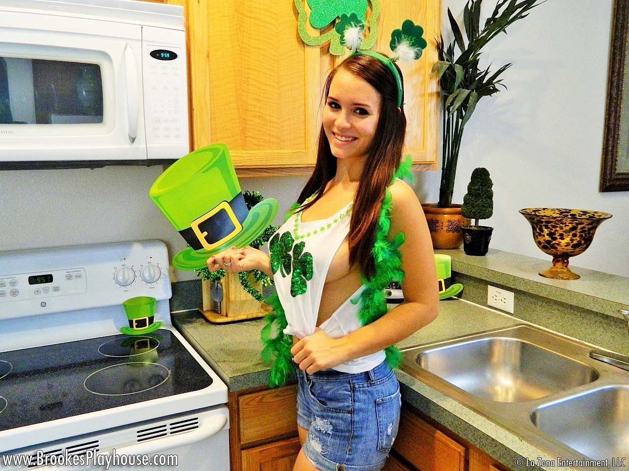 BrookesPlayhouse