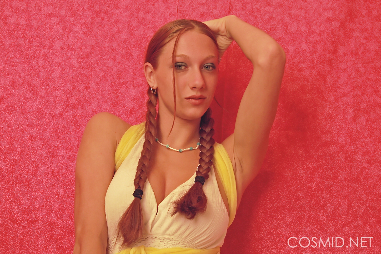 Cosmid