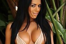 Alluring Vixens 