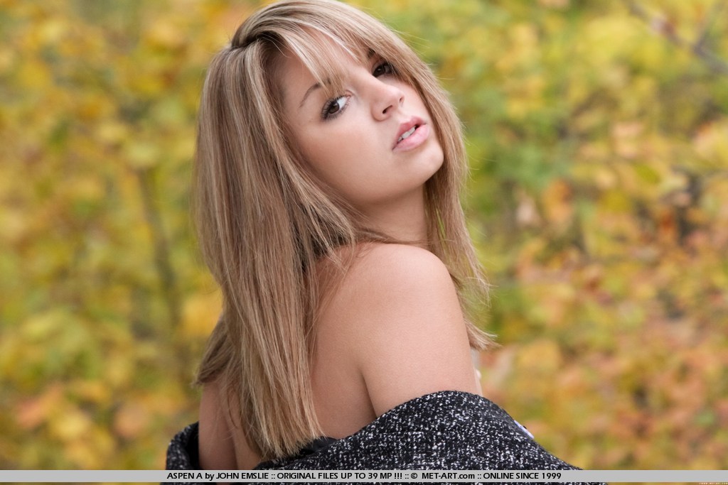 MetArt